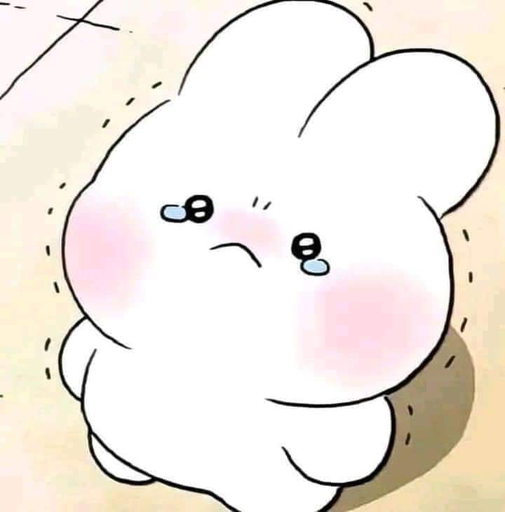 •boraworldboragirl• tweet media