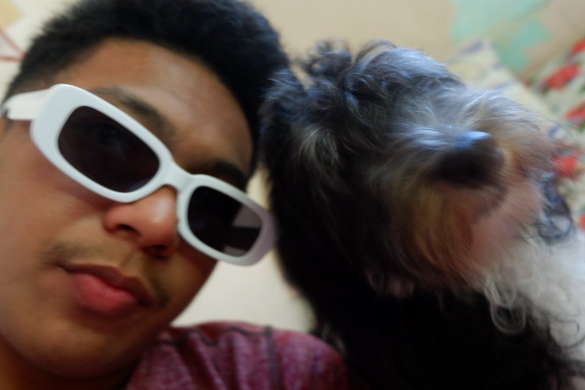 rey_coolots's tweet photo. 🐶✨ https://t.co/x0rTwuIsw3