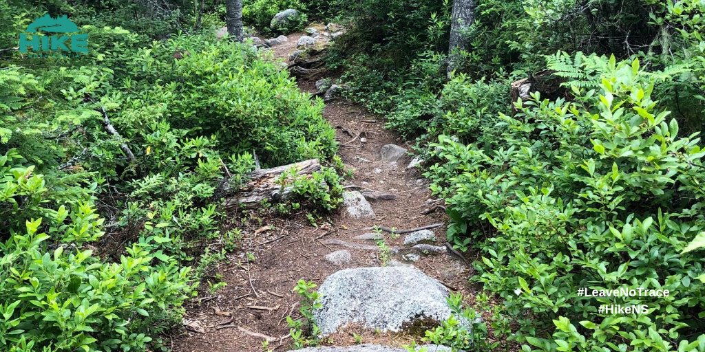 HikeNS's tweet photo. Walking and hiking are the most popular forms of physical activity for Nova Scotians. Leaving natural areas as you found them is the best way to ensure continued use for yourself and others. #LeaveNoTrace #GetOutButGiveBack #HikeNovaScotia https://t.co/hBvI3JUaWb