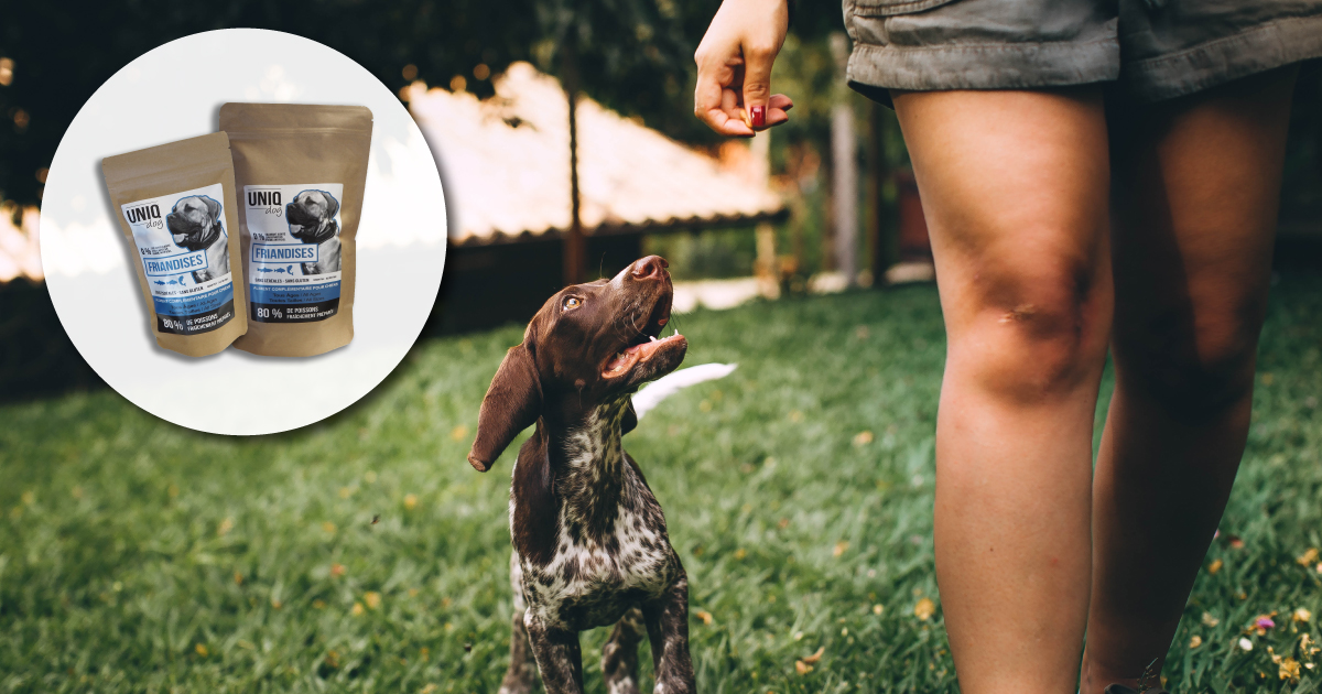 Pendant les séances de dressage de votre chiot, félicitez-le et encouragez-le avec la recette généreuse des friandises UNIQ Dog ! 🐟
Nos gourmandises avec 80% de poissons fraîchement préparés sont disponibles en sachets de 250 et 500g ➡ verlina.com/friandises/121…