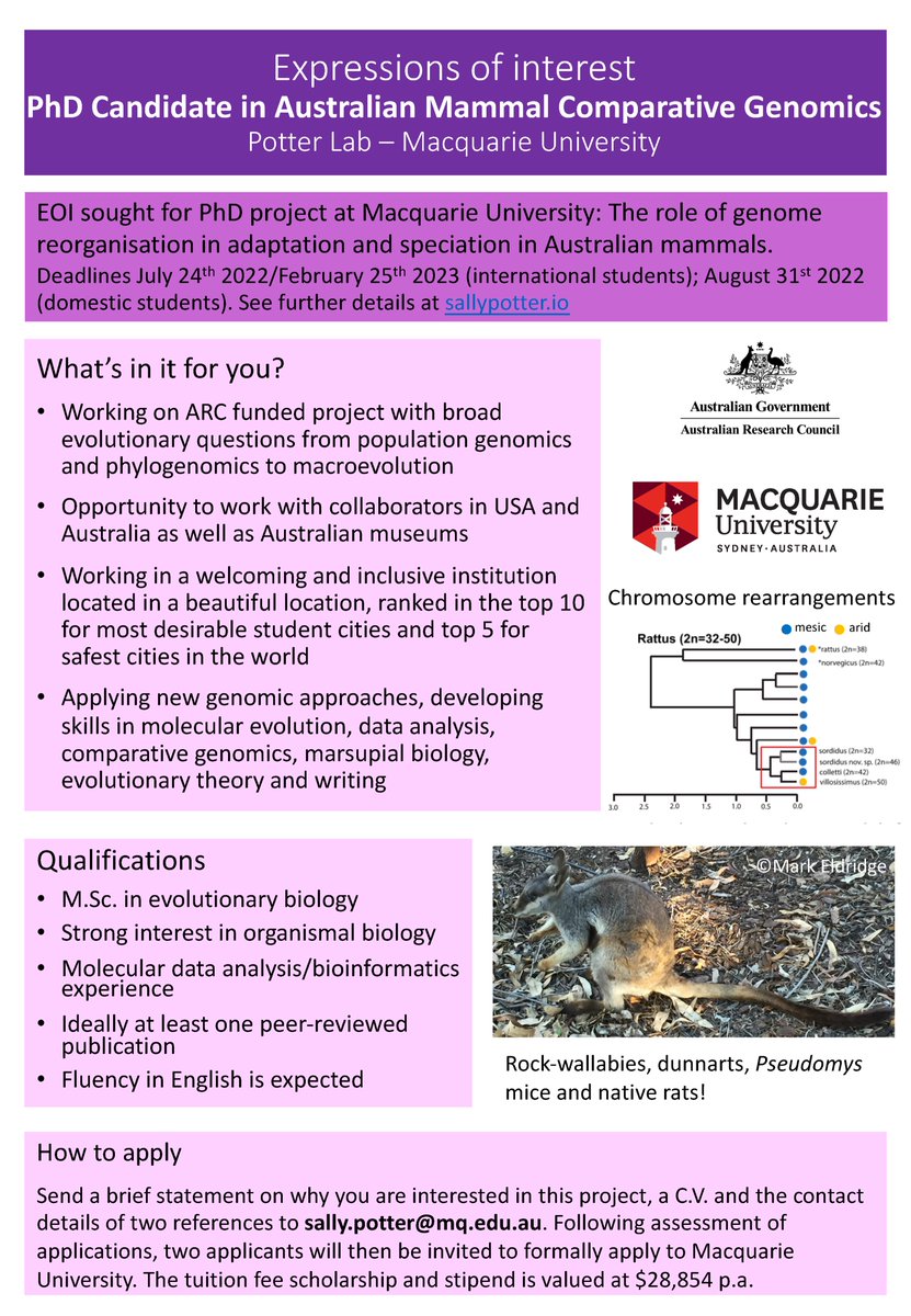 I am recruiting PhD students for 3 years to work on comparative genomics of Australian mammals @mqnatsci under an @arc_gov_au grant (details below). Please share/RT and apply. Deadline for expressions of interest 24th July 2022/Starting 2023. #phdpositions