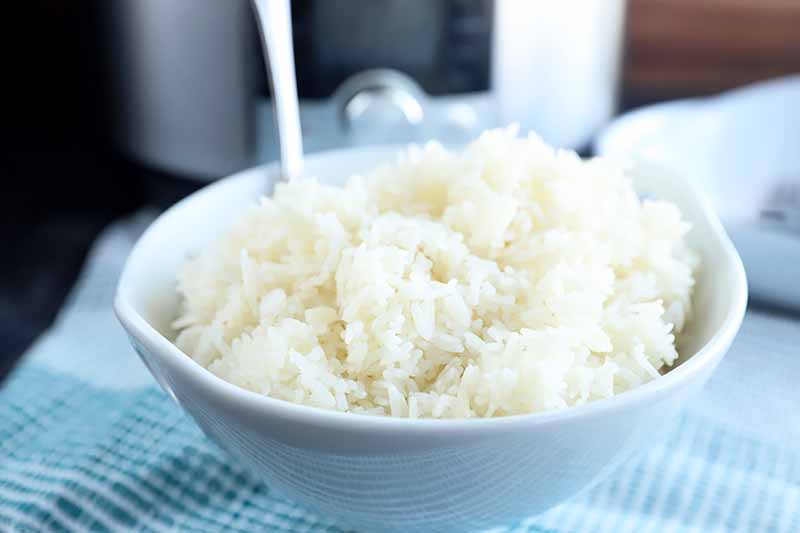 Learn How to Cook Jasmine Rice in an Electric Pressure Cooker 🍚  >>> foodal.com/knowledge/how-… #electricpressurecooker #jasminerice