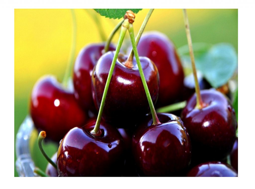 Uzbek_Embassy's tweet photo. New post (Uzbekistan exports cherries for more than $33 million) has been published on uzbekembassy - https://t.co/ja2EzN6RTT https://t.co/8awe0zBKz4