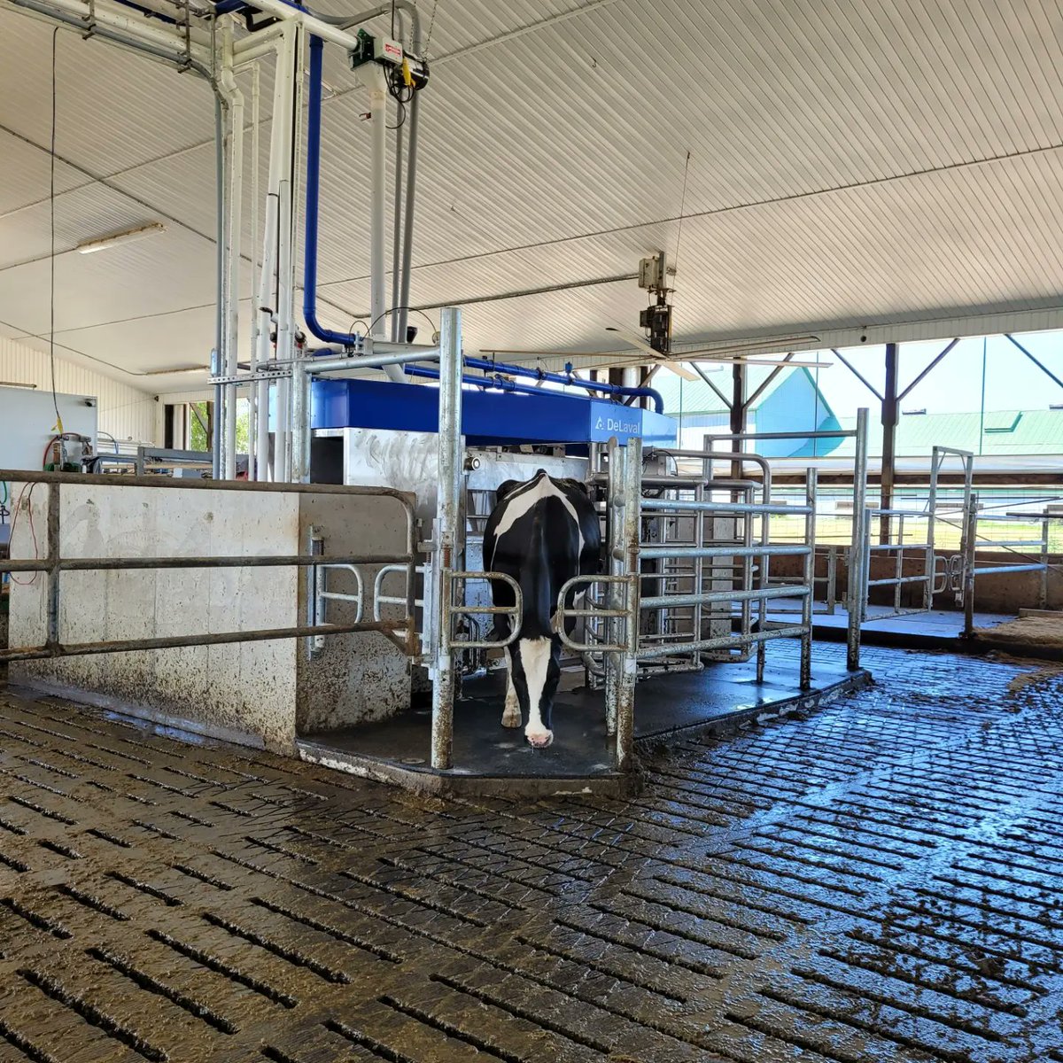 Congratulations Hillandia Farms on the start up of their 2 @delaval_na V310's! #ontag #dairy #farming #milk #startup #innovation #ontariodairyfarmers #Ontario #farmlife #dairyfarmersofcanada #farmontario #dairydonewell