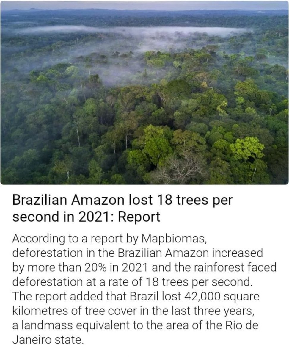 SadhguruJV's tweet image. 97% of deforestation in Amazon is for new farms because as soil depletes, farmers are forced to clear forests for new land. Long-term protection of forests and biodiversity is possible only if farm soils are rich in organic matter - at least 3-6% -Sg #SaveSoil 
@cpsavesoil