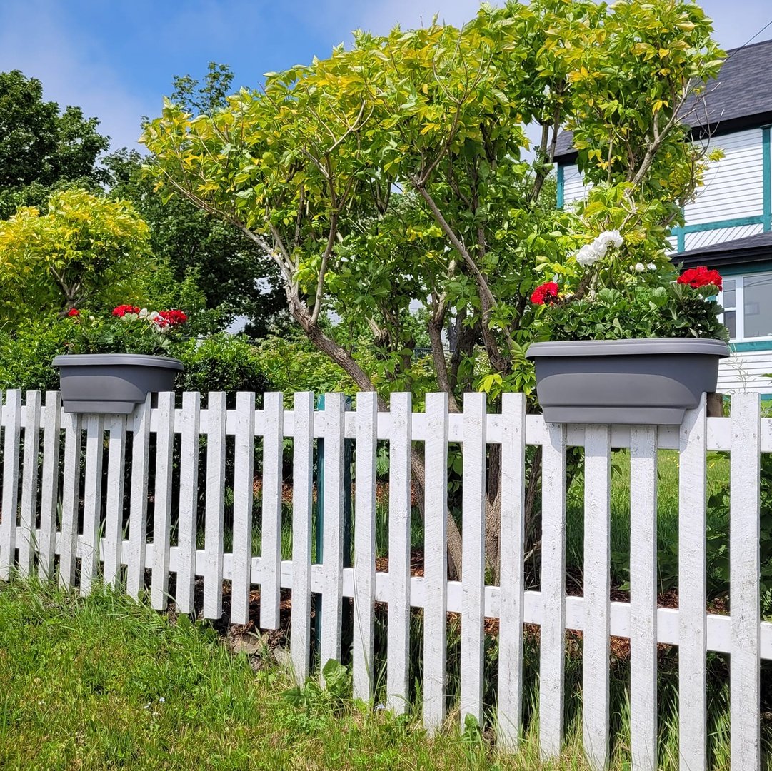 Come visit the geraniums in Heart’s Content and celebrate the Year of the Garden with these gorgeous red, orange, and pink blossoms! Geraniums are historically one of the most favoured flowers in Heart’s Content. #LiveTheGardenLife #ExploreNL