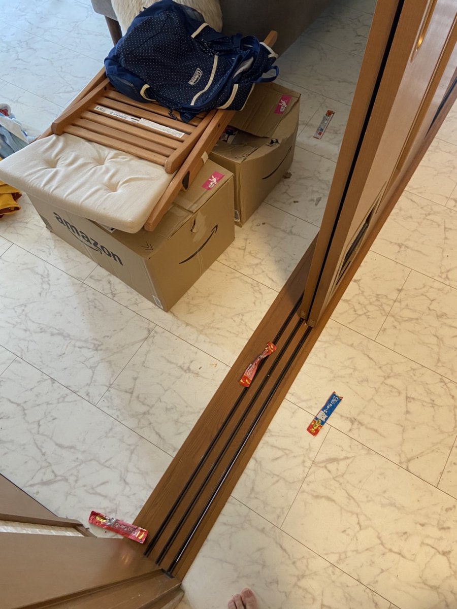 大和のバカたれは段ボール箱に重しをしてたのにPrime祭りで買ったちゅーるを荒らしました。また、私の旅行中に愛用していた海綿(親のトルコ土産で5000円もした)を原型を留めないくらい粉々に食い散らかしたそうです。大和！許すまじ。