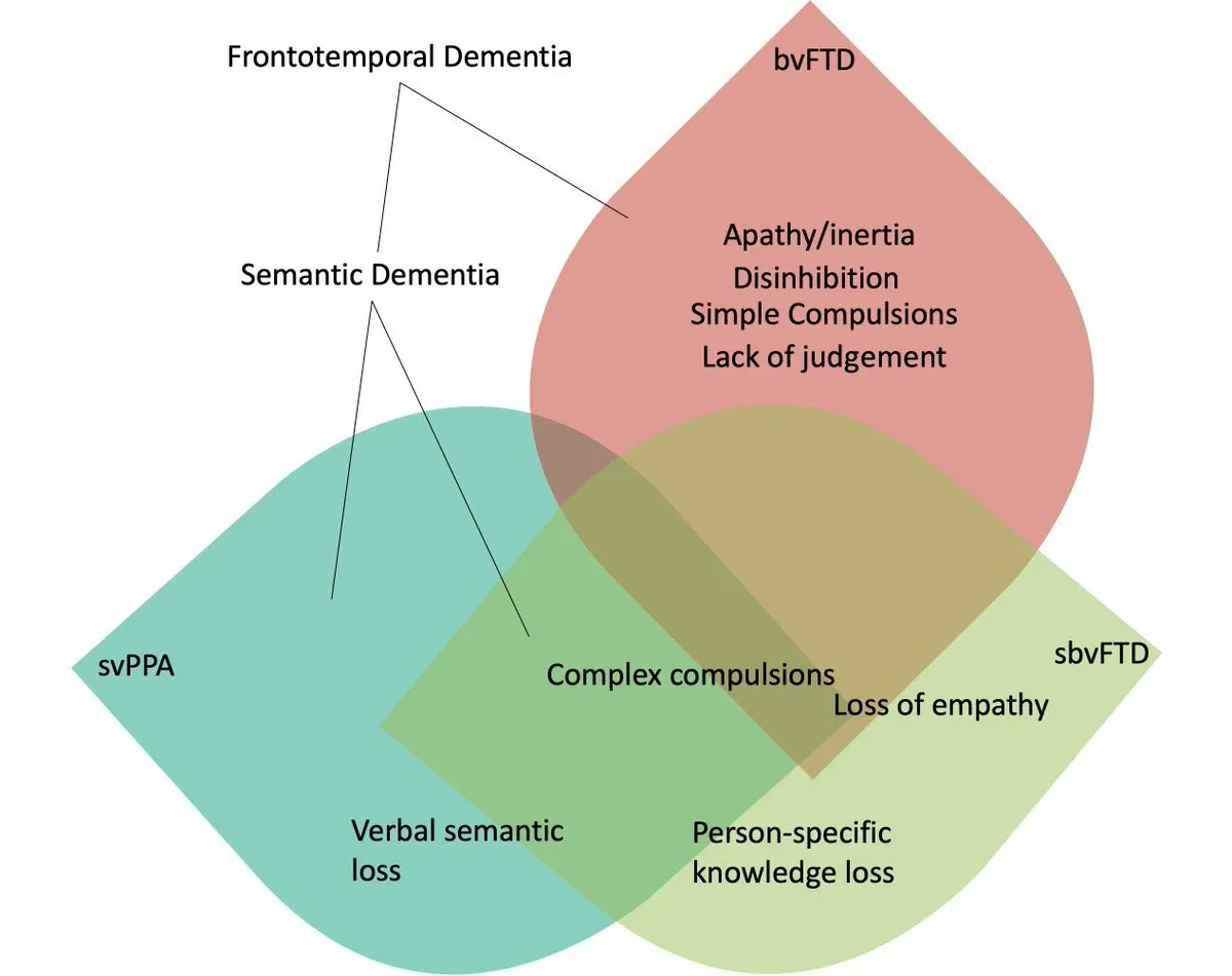 UCSF MAC (@ucsfmac) on Twitter photo Right temporal lobe and socioemotional semantics: semantic behavioural variant frontotemporal dementia. sbvFTD characterized by ↓ socioemotionally relevant concepts. bit.ly/3Ogj9Ke
@kyan_younes <a href="/brainsturming/">Virginia Sturm</a> <a href="/Rankin_Lab/">Rankin Lab</a> <a href="/AlbaLanguage/">ALBA Language Neurobiology laboratory</a> #NIAfundedADRC <a href="/Brain1878/">Brain</a> Right temporal lobe and socioemotional semantics: semantic behavioural variant frontotemporal dementia. sbvFTD characterized by ↓ socioemotionally relevant concepts. bit.ly/3Ogj9Ke
@kyan_younes <a href="/brainsturming/">Virginia Sturm</a> <a href="/Rankin_Lab/">Rankin Lab</a> <a href="/AlbaLanguage/">ALBA Language Neurobiology laboratory</a> #NIAfundedADRC <a href="/Brain1878/">Brain</a>