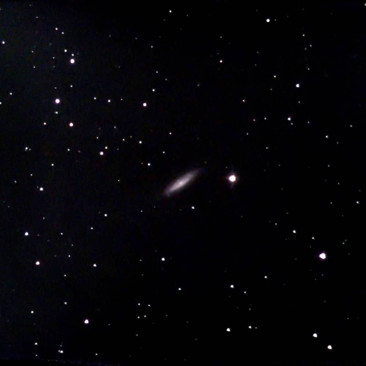 queerastrospace's tweet photo. NGC 6503
Magnitude 10.2 dwarf spiral galaxy located 17 million light-years away in the constellation Draco. It especially colorful with bright red regions of gas scattered through its spiral arms.
#astrophotography #astronomy #space #unistellar #ngc6503 #galaxy #draco https://t.co/SbwQMFJPlF