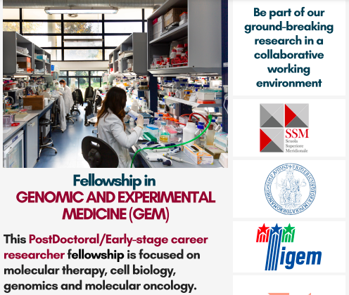 Tigem Telethon (@tigem_telethon) on Twitter photo #Postdocjobs #Sciencejobs
The #ScuolaSuperioreMeridionale, in collaboration with <a href="/Tigem_Telethon/">Tigem Telethon</a>, is offering post-doctoral/early-stage career researcher positions in molecular therapy, cell biology and molecular oncology.
Read on for more info... #Postdocjobs #Sciencejobs
The #ScuolaSuperioreMeridionale, in collaboration with <a href="/Tigem_Telethon/">Tigem Telethon</a>, is offering post-doctoral/early-stage career researcher positions in molecular therapy, cell biology and molecular oncology.
Read on for more info...