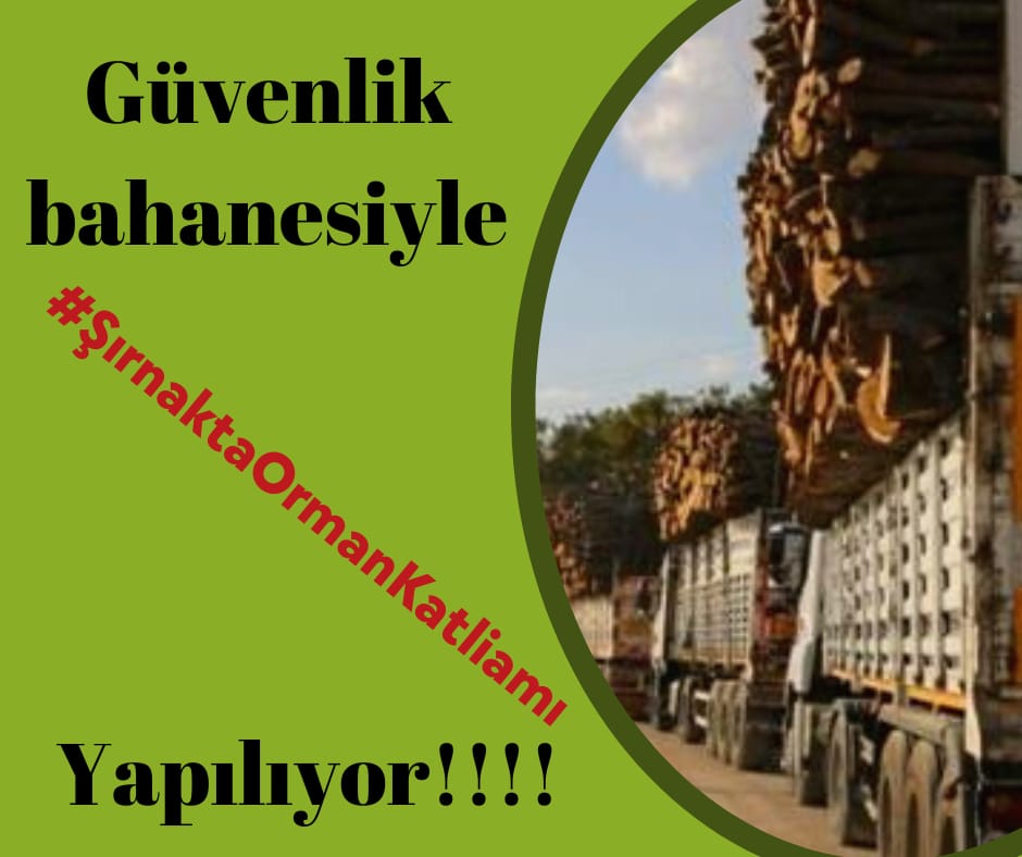 İklim krizi çağında Şırnak'taki orman katliamını hiçbir gerekçenin meşru kılmasına izin vermeyelim, dayanışmayı büyütelim, Şırnak ormanlarının, halkının, yaban hayatının sesi olalım!

👉🏿#ŞırnaktaOrmanKatliamı