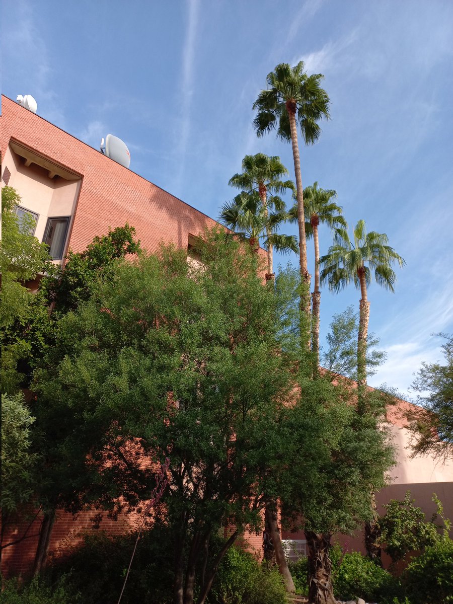 Enjoying the last Tuesday morning in our New Start summer session!
#WildcatReady #FirstGen #ThriveNotSurvive