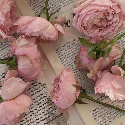 cometetass's tweet photo. εїз ─ peinados lindos e faciles para cualquier ocasión https://t.co/rfhHs4uWRE
