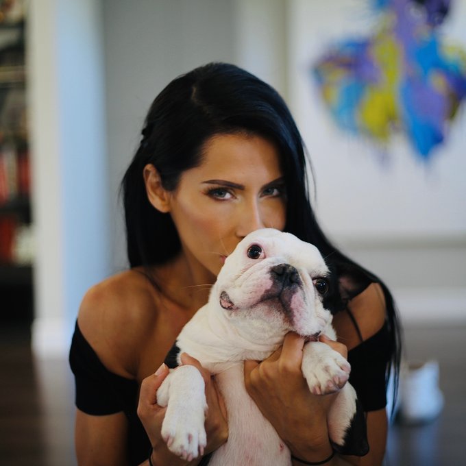 Dogs or Cats...and why? 🐶😺  #Tuesday #tuesdayvibe https://t.co/JMCjOPybsX<a href="/tag/tuesday"class="tags">#Tuesday</a><a href="/tag/tuesdayvibe"class="tags">#tuesdayvibe</a>