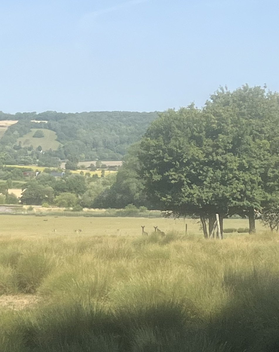 Robbie Lorraine tweet media