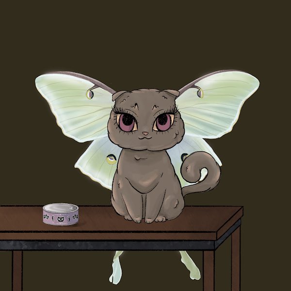 Adrianne Stone 👩🏻‍💻🚀🍻 tweet media