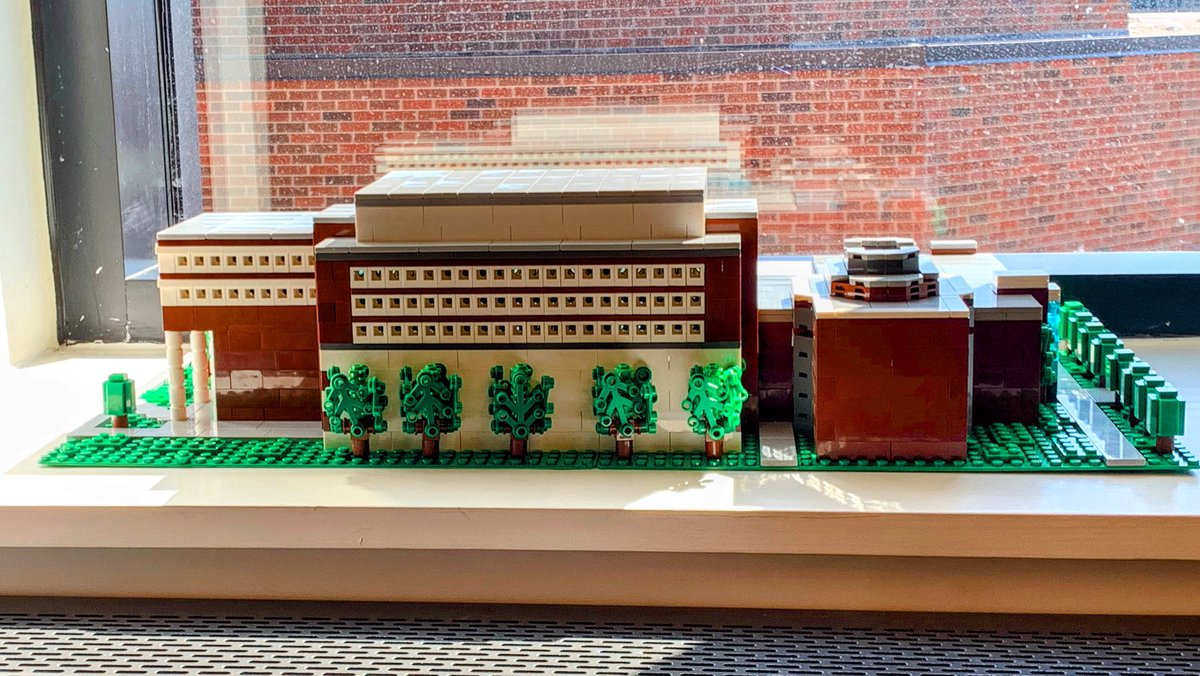 Trish McMahon tweet media