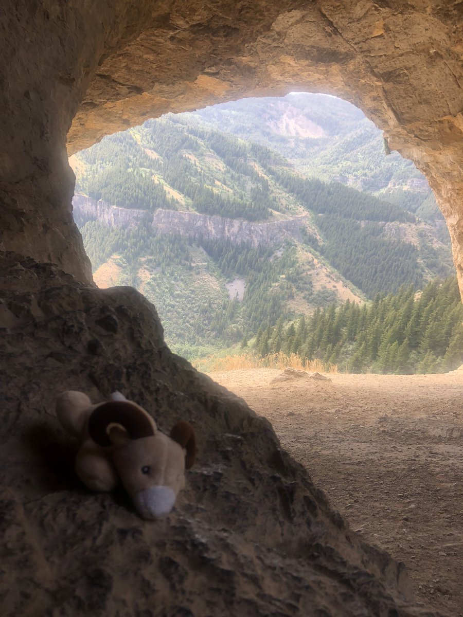 #RonnieRam went on a hike with Mrs. Scharkowski in the Unitah Mountains to the Wind Caves just outside Logan, Utah. He also finished reading a grownup book he highly recommends called The Girl in His Shadow. #CRESculture <a href="/centreridgees/">Centre Ridge Rams</a>