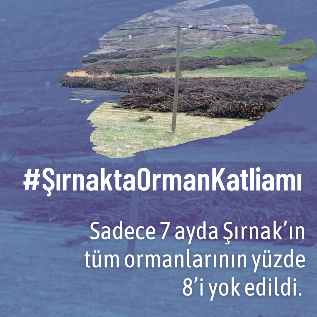 Sadece 7 ayda Şırnak'taki tüm ormanların %8 i yok edildi. 
Sessizlik çölleştirir!
#ŞırnaktaOrmanKatliamı var!
Sessiz kalmıyoruz!
