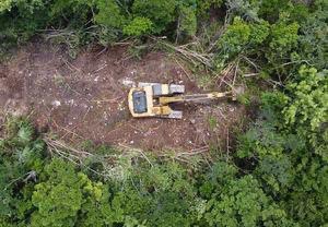 QueQuintana's tweet photo. Los ambientalistas no quieren quitar el pie del renglón. Acusan al #TrenMaya de devastar la selva sin permisos.

Nota completa: https://t.co/nYJ0U6moH6 https://t.co/FeRKBIbr2m