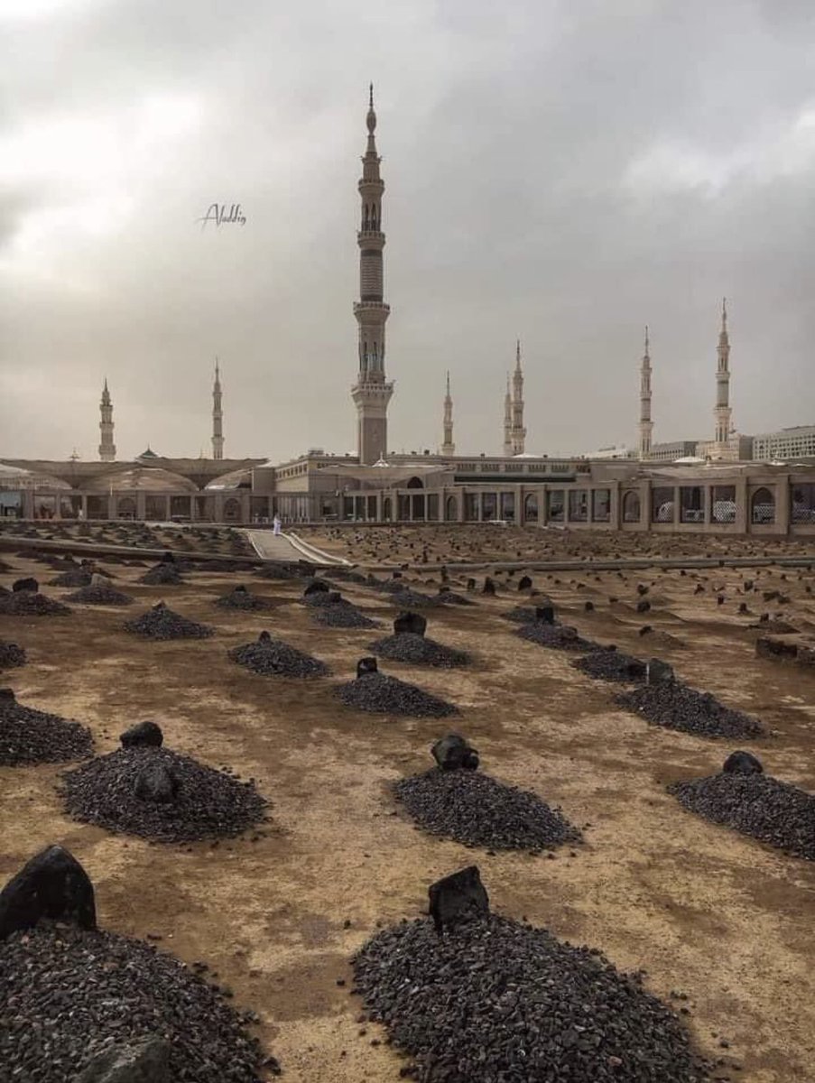 هُنا يرقد المبشرون بالجنة ♥️.