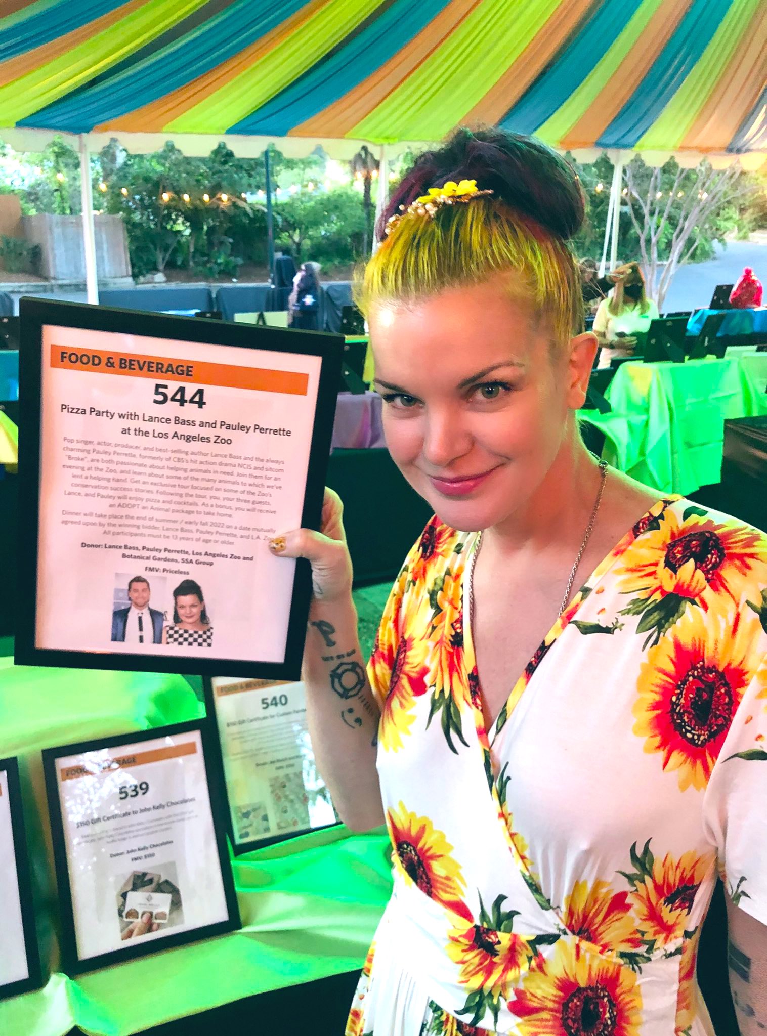 ポーリーペレット Twitter Search Twitter