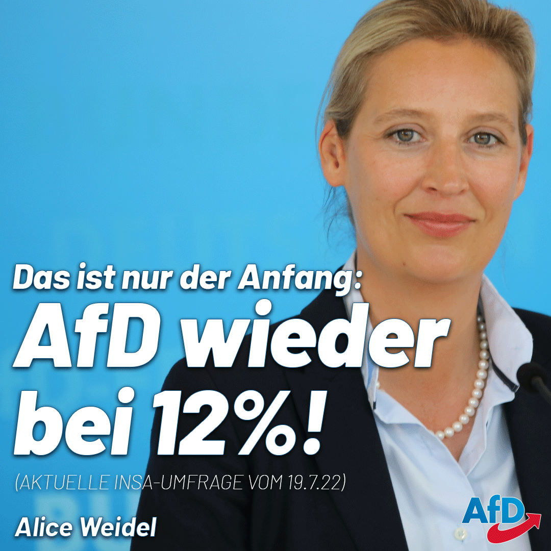Alice Weidel tweet media
