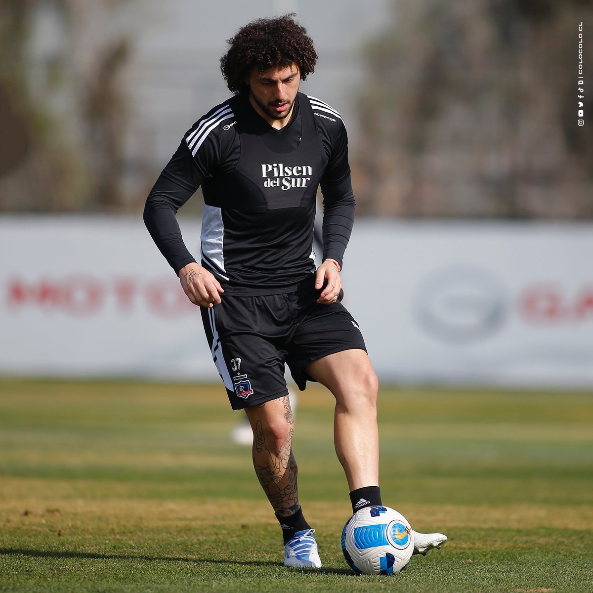 ColoColo's tweet photo. Vamo arriba, Peluca 🤟🏼🏁 https://t.co/E2CiMKVX0m
