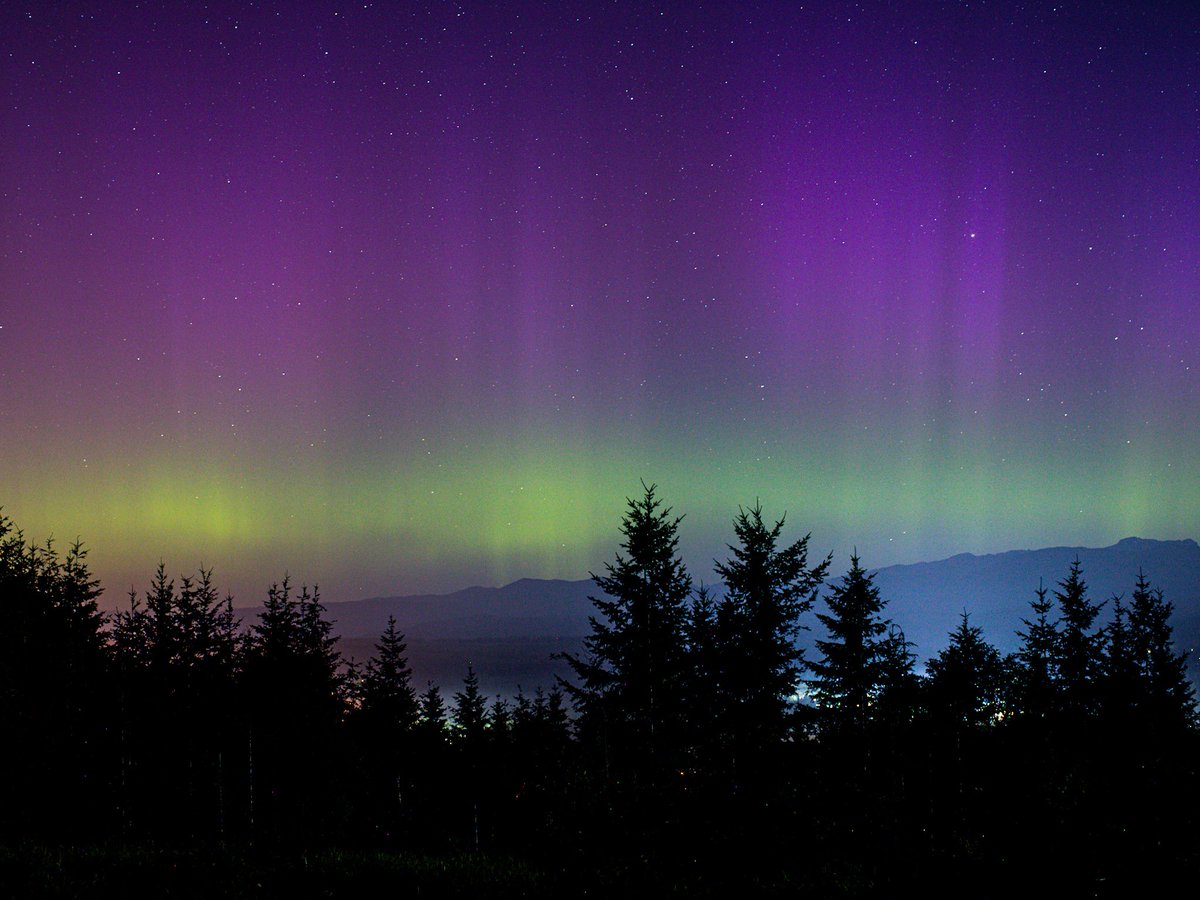 Aurora lit up the town of Snoqualmie this morning in Washington State between 12 am to 3 am on 7/19/22.
<a href="/TamithaSkov/">Dr. Tamitha Skov</a> 
<a href="/ShannonODKOMO/">Shannon O'Donnell</a> 
<a href="/ScottSeattleWx/">Scott Sistek</a> 
#wawx 
<a href="/NWSSeattle/">NWS Seattle</a> 
#Aurora 
<a href="/cogie_s/">Cogie's Aurora's</a> 
<a href="/theauroraguy/">Harlan Thomas</a> 
#Canon 
<a href="/snoqualmiewx/">Snoqualmie Weather</a> 
<a href="/WeatherNation/">WeatherNation</a> 
<a href="/TweetAurora/">Aurorasaurus</a>