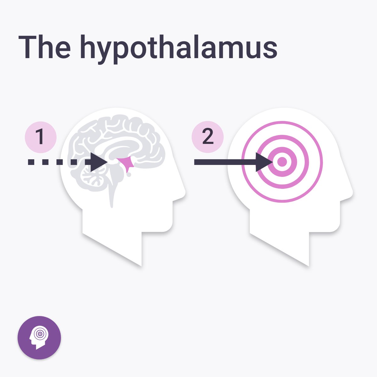 curelator's tweet photo. The #hypothalamus is a part of the brain which is activated before migraine attacks start.

Symptoms of hypothalamus activity can include yawning, fatigue, food cravings and sensitivity to light or sound.

Do you think these symptoms are associated with your #migraine attacks? https://t.co/t0z1rH1kBU