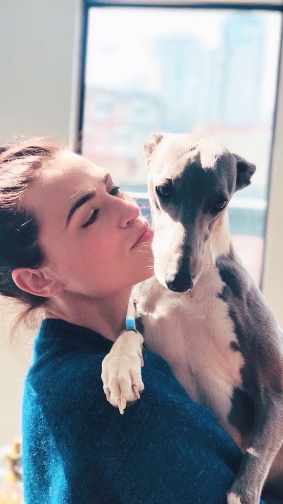 Katie McGrath does things tweet media