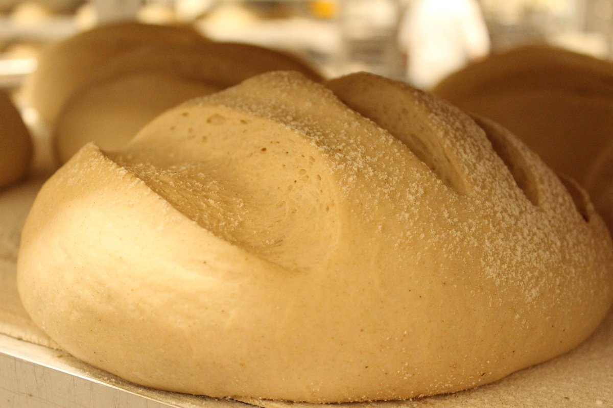 TheBreadskiBros's tweet photo. “Proof” that our bread is the best 😏 https://t.co/2yau7RnwIu