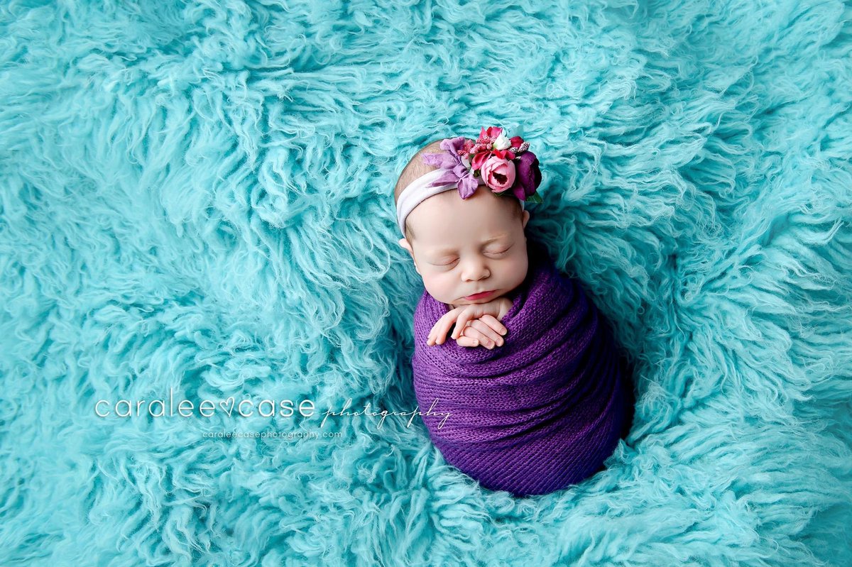 CaraleeCase's tweet photo. Payton, such a sweet little snuggle bug!!!!!! 💜
Headband ~ Birdie Baby Boutique
Wrap ~ Intuition Backgrounds
💜💜💙💙❤️❤️ #SweetBaby #SnuggleBug #CuteBaby #BabyWrap #Headband #BabyPhotography #NewbornPhotographer #BabyPhotoShoot #Baby #Newborn #CutestBabyEver #BabyPhotographer https://t.co/ot1xhuA9VY