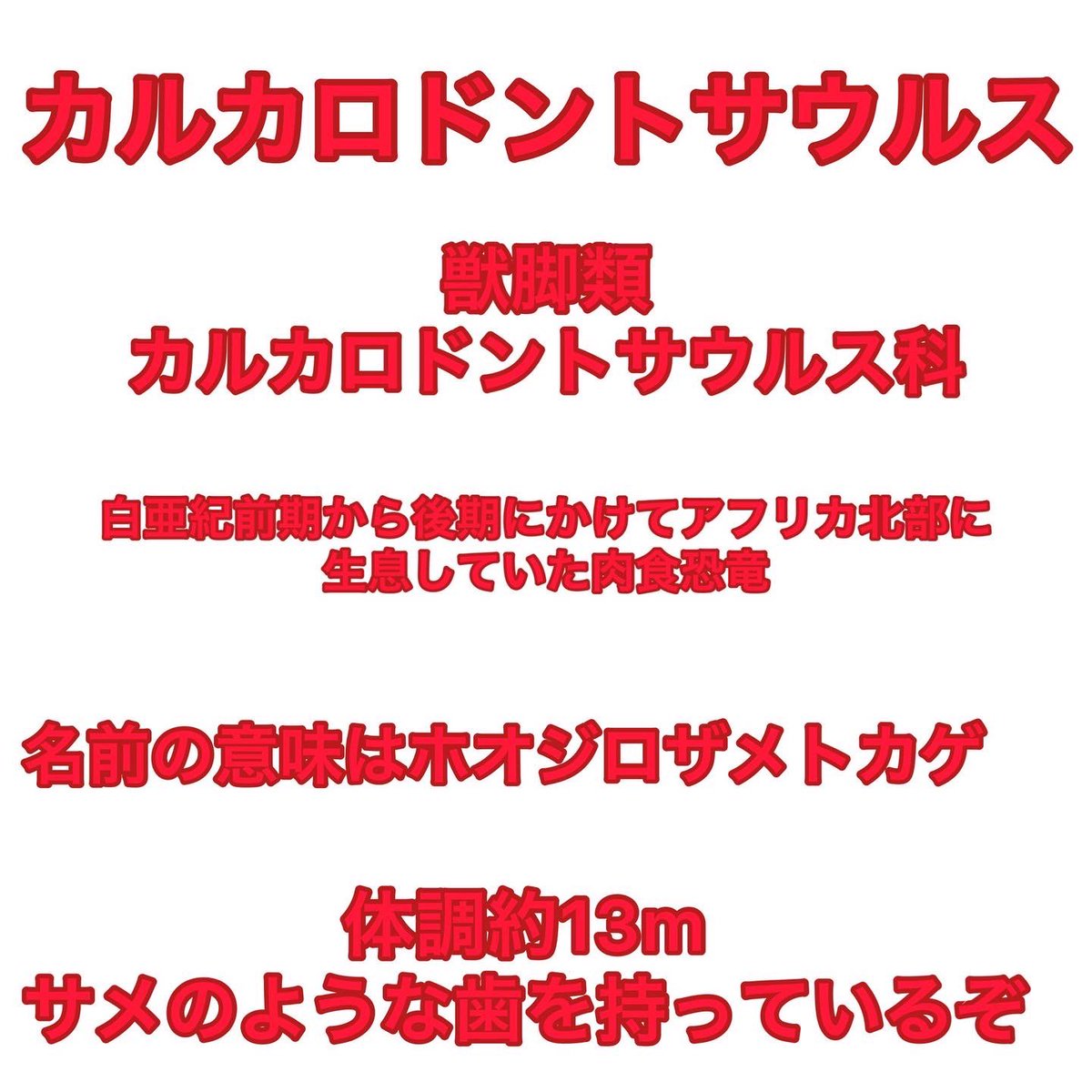 Carcharodontosaurus Twitter Search Twitter