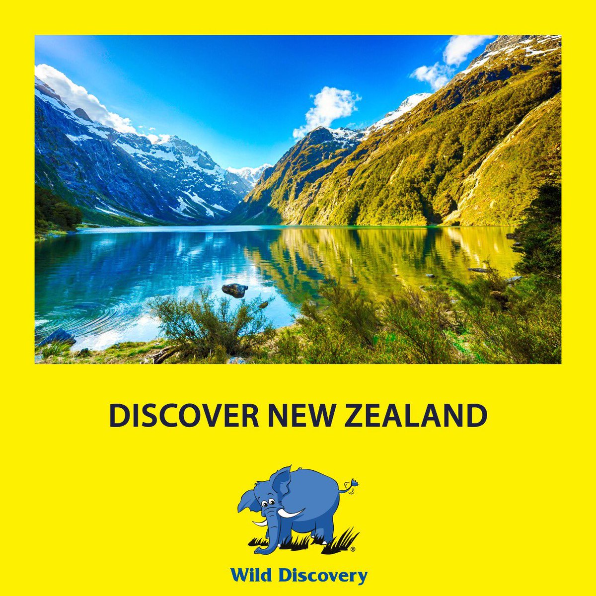 Visit the world’s largest concentration of stunning natural wonders, volcanoes, forests and sunny beaches With Wild Discovery.

For an unforgettable journey in New Zealand, call one of our Destination Specialists on 01 56 56 46.

#wilddiscovery #travel #luxury #newzealand