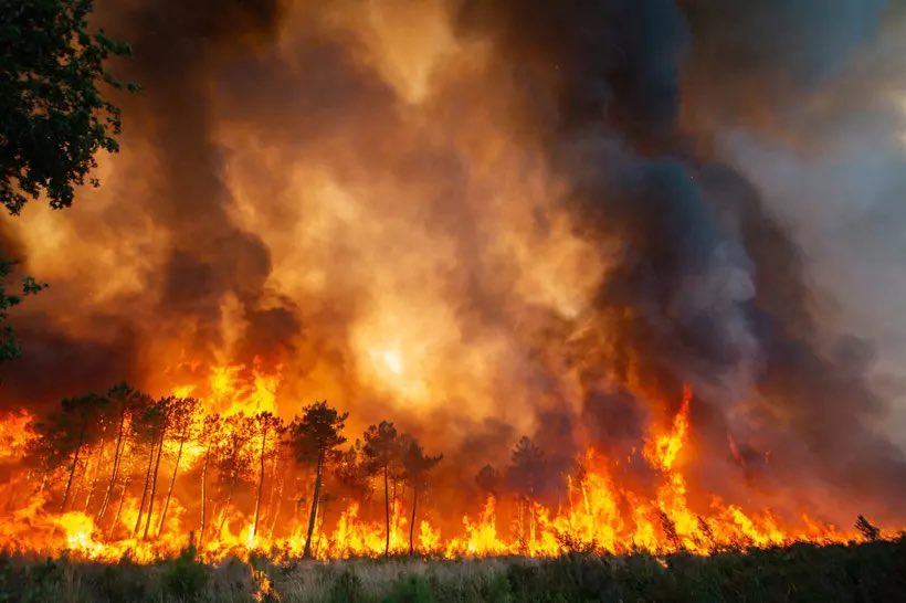 ChasseursFrance's tweet photo. Ignorants tout des sujets sur lesquels ils entendent pourtant « changer le monde », @EELV se félicitait il y a moins d’un an d’avoir obtenu la suspension du Plan Simple de Gestion de la forêt de la Teste de Buch… voilà le résultat 👇
https://t.co/EHoOLOzpa4 https://t.co/v505Qpnldz