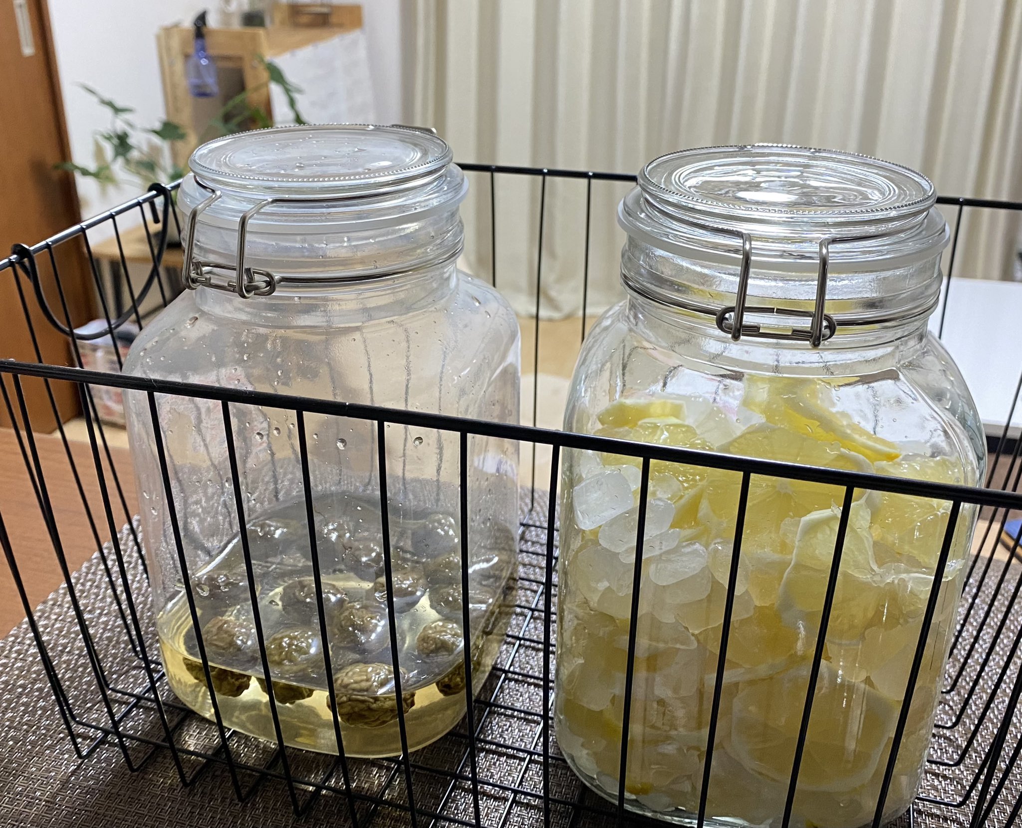 تويتر むーちゃん Pmr Pbc على تويتر 梅シロップの瓶がひとつ空いたのでレモンシロップ仕込んだ レモンは好評につき3回目 隣の梅ちゃんシワシワ 艸 T Co Zhpi1gt8sy