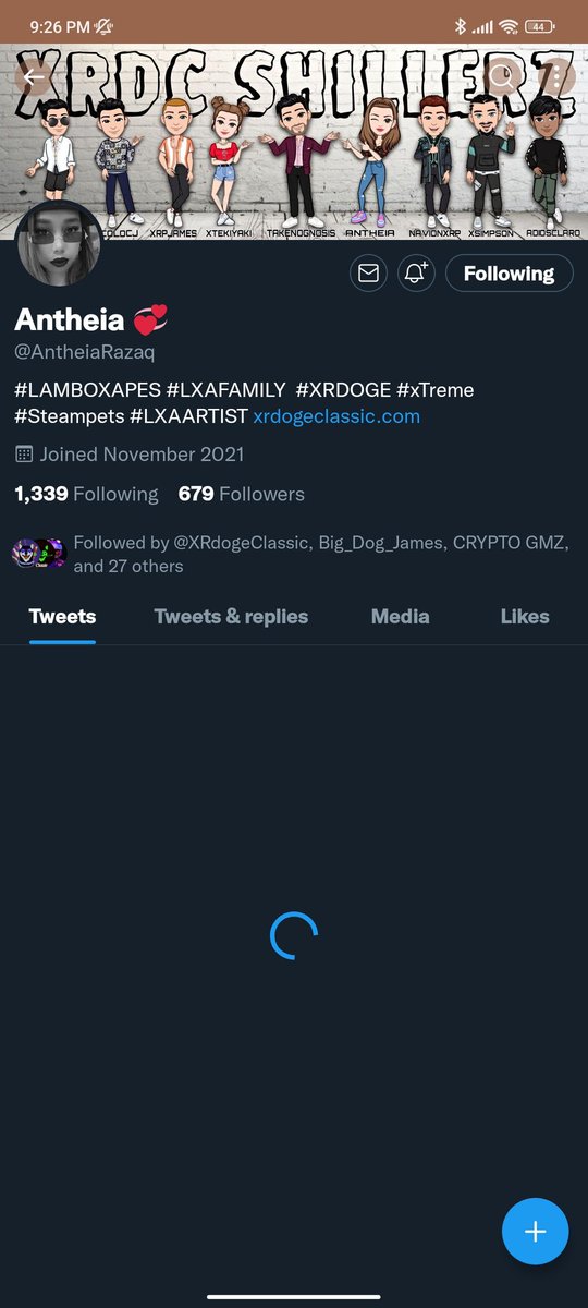 XRP Gelo tweet media