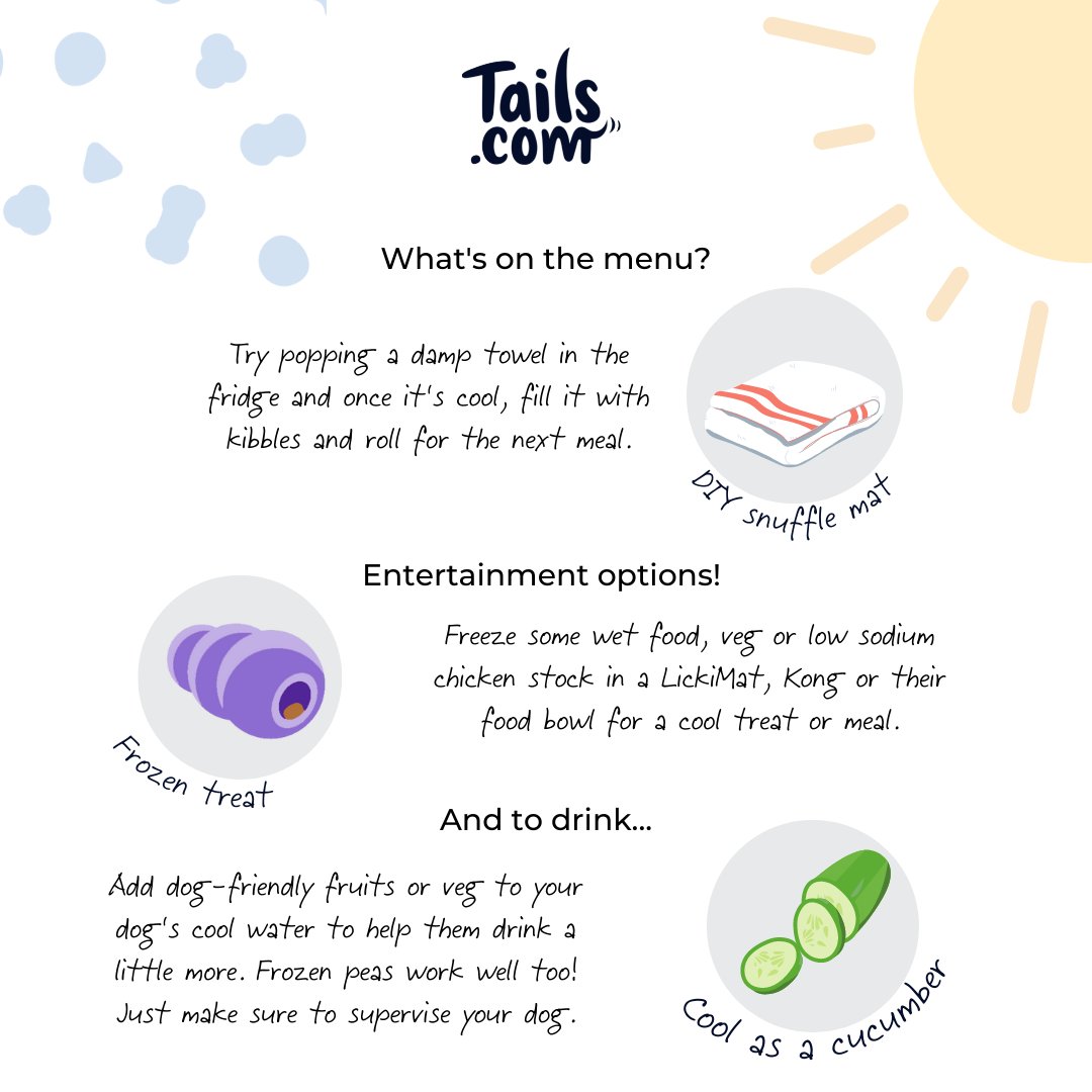 tailsdogfood's tweet image. Come dine with... my dog 🍽️ #heatwavetips