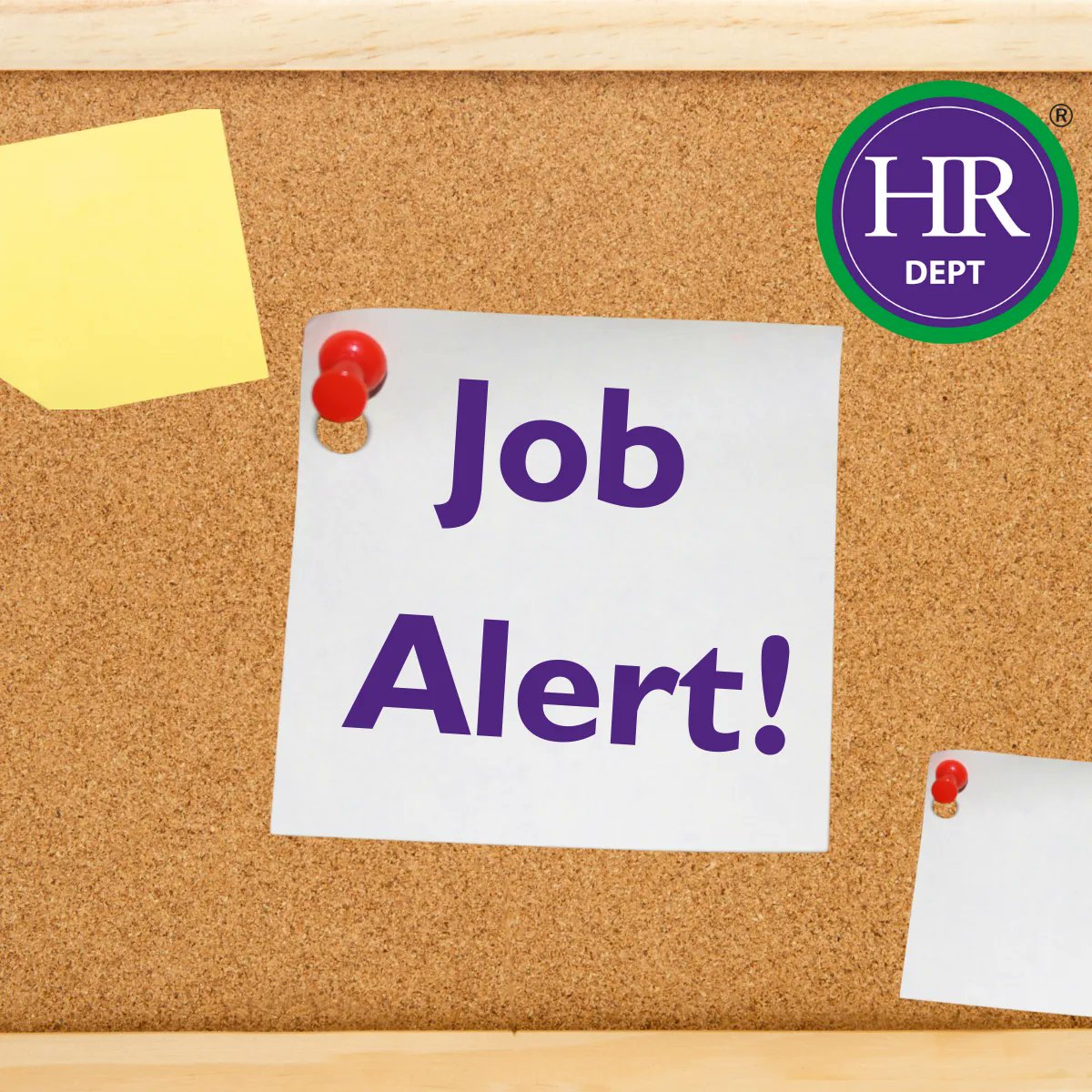 Kitchen Makers By Burbidge are looking to recruit a Warehouse Administrator in Coventry!
buff.ly/3ocE3z8
#recruit #recruitment #job #work #warehouse #adminstrator #admin