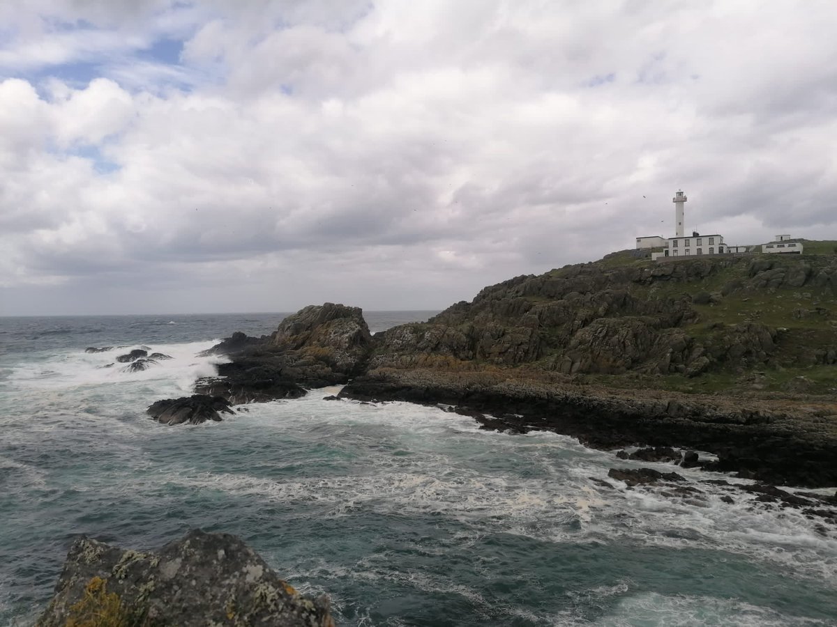 EcologicalKrc's tweet photo. Pleased to help publicise the work of the @inishtrahullobs on the new series of Mahon’s Way which includes a lovely piece on the natural &amp; cultural history of #inishtrahull. One of the species we discussed the island having potential for - Corncrake … sure didn’t one show up 1/2 https://t.co/C5Nt0LdOWf