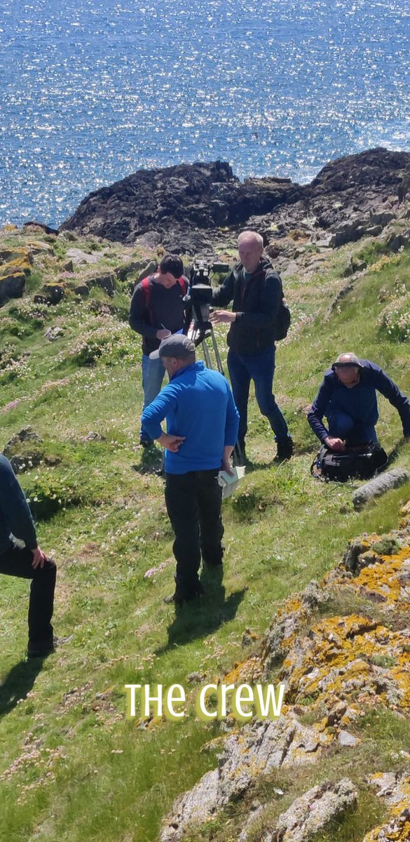 EcologicalKrc's tweet photo. Pleased to help publicise the work of the @inishtrahullobs on the new series of Mahon’s Way which includes a lovely piece on the natural &amp; cultural history of #inishtrahull. One of the species we discussed the island having potential for - Corncrake … sure didn’t one show up 1/2 https://t.co/C5Nt0LdOWf