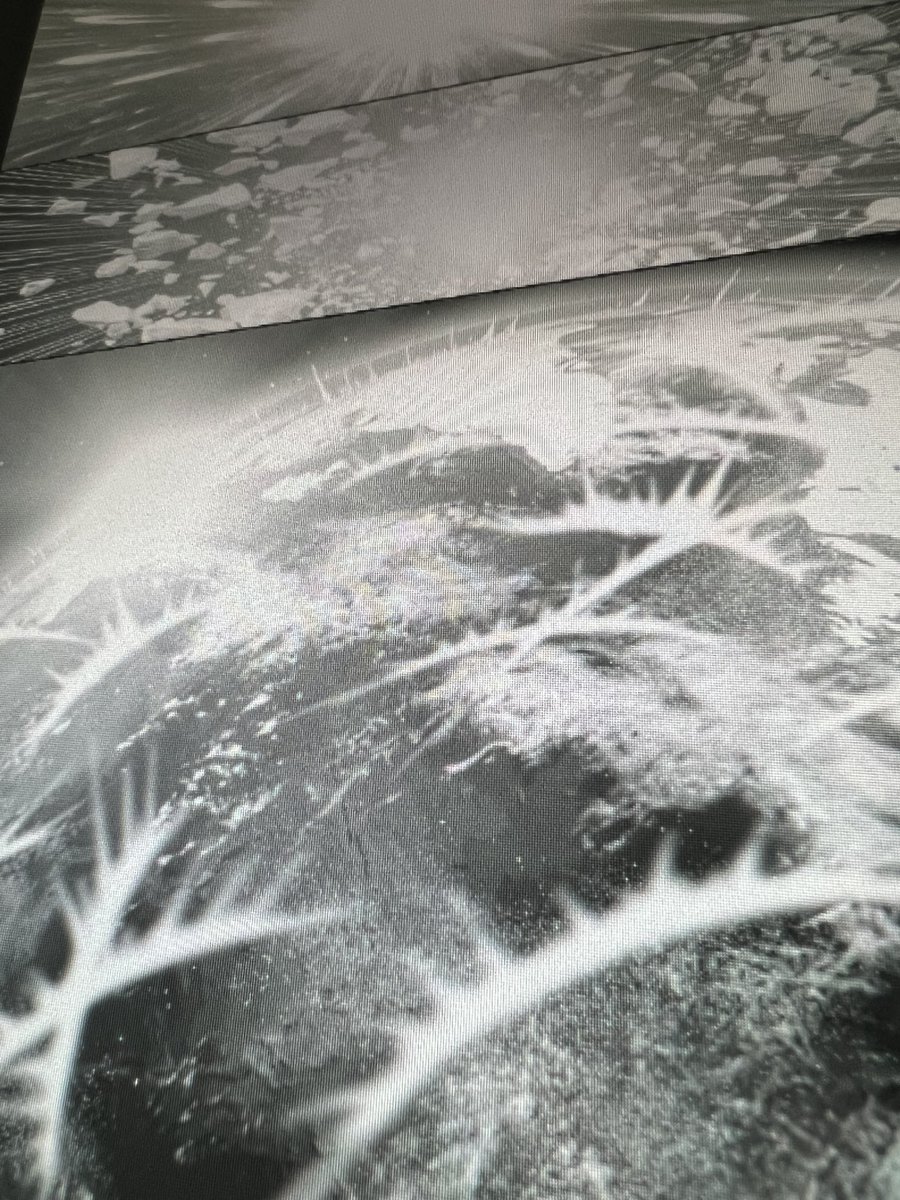 Fbr4kebr2n46em Fbr4kebr2n46em