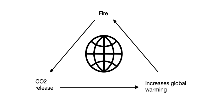 BonvinLuka's tweet photo. Forest fires are presently increasing, due to #GlobalWarming . Around 70K fires are declared yearly (@OmpeContact). The CO2 released by fires continueously increase global warming, escalating #drought  and therefore forest fires. It's a loop that needs to be fixed now. https://t.co/NzE8YuYCtY