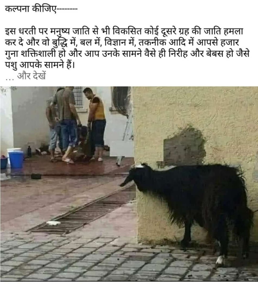 sandeepmohan02's tweet image. So sad... 
What must be running in her mind..