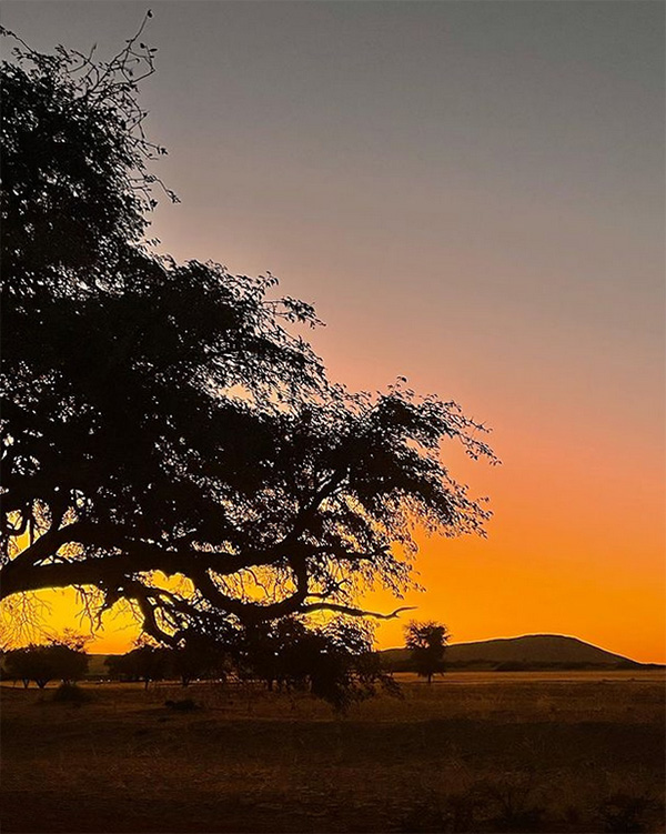 SossusvleiLodge's tweet photo. When the sun goes down behind Elim Dune - picture perfect!
๐ธ shared on Instagram by @lene.wilkens_
>> https://t.co/IbvfS69WIP
reservations@sossusvleilodge.com
Book online & use promo code: SAVE15
T's&C's Apply
#Namibia #Sossusvlei #Desert #landscape #sunset #elimdune https://t.co/A97xoGgjUb