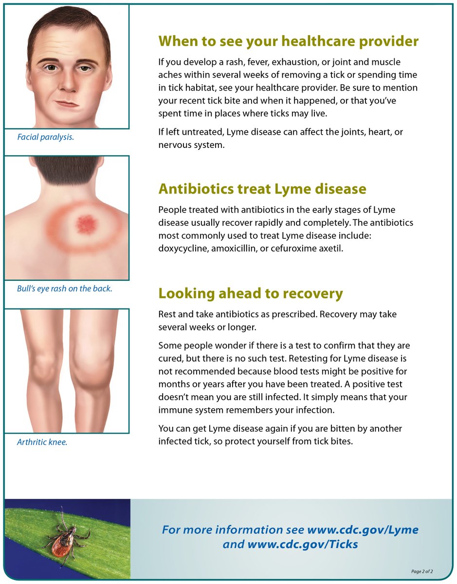 DuPageHD's tweet photo. Ticks can spread disease, including Lyme disease. Check out the info about how to remove a tick and the best ways to protect yourself! For more information, visit https://t.co/VYT7MEfzYI https://t.co/Id3K38qJfF