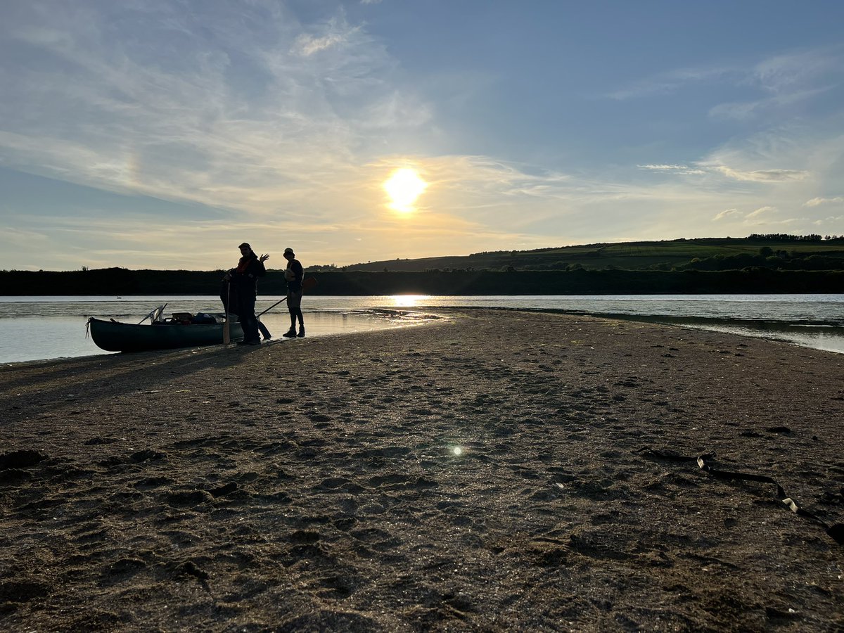 EcologicalKrc's tweet photo. To help inform #mpa designations we’ve been undertaking GPS tracking work for @npwsBioData in the NW, focussing on Common/Sandwich Terns and Shags - at Inch Lake (L Swilly - terns) and Inishmurray/#inishtrahull (Shags) - fascinating findings. Work completed pre-HPAI restrictions https://t.co/u0D9GqnrY5
