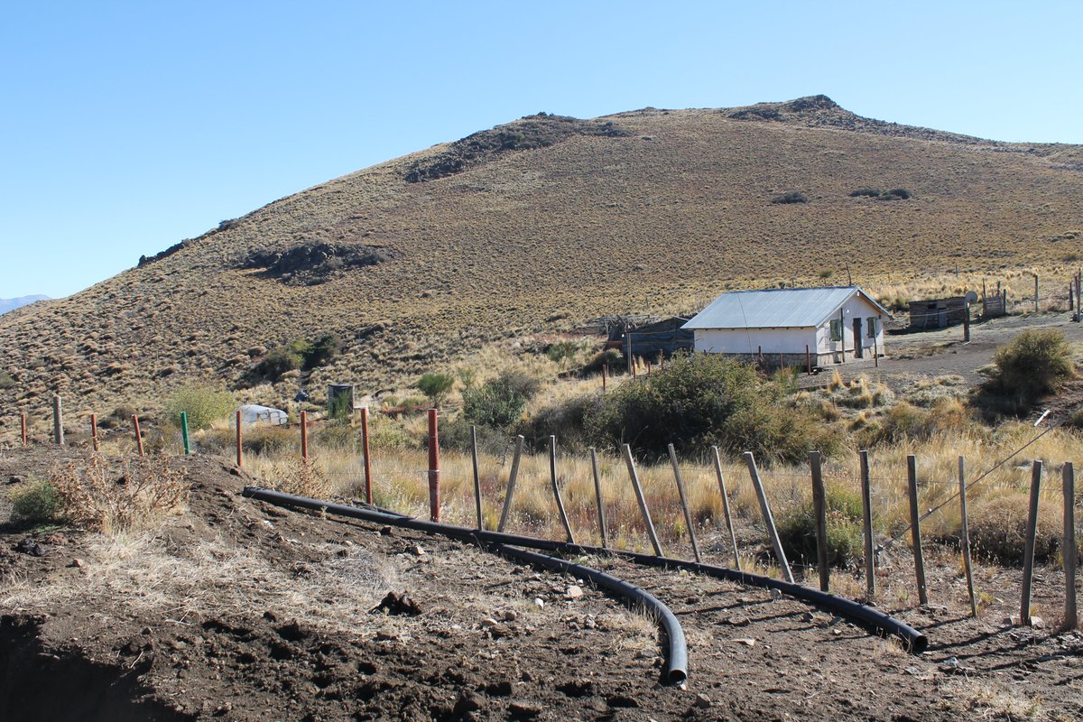 subsecprodnqn's tweet photo. #DesarrolloRural
Junto a @UPEFEnqn , concretamos el financiamiento #PISEAR para los proyectos de las comunidades Linares y Huayquillán, y las Asociaciones Curi Leuvú y Forjando Futuro por $4.540.855,04.
@AmaliaSapag @FLR_NQN https://t.co/gXrXPbkxZa