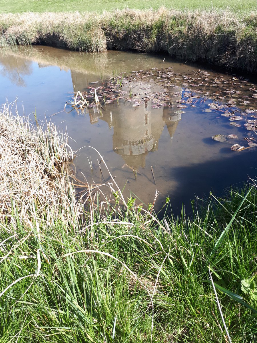 Dans la promenade forestière de Montpoupon, nous vous faisons découvrir la faune et la flore locale. Qui sait, peut-être croiserez-vous un des habitants de la vallée lors de votre venue 🐸
#PalaceDay